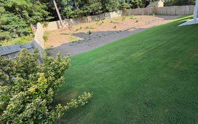 Photo of Willie P.'s yard after getting lawn care in Riverdale, MD