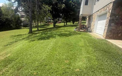 Photo of Nicholas F.'s yard after getting lawn care in North Kingstown, RI