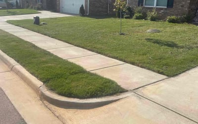 Photo of Dalina C.'s yard after getting lawn care in Bremerton, WA