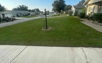 Photo of Vina M.'s yard after getting lawn care in Bayonne, NJ