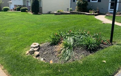 Photo of Troy H.'s yard after getting lawn care in Lancaster, PA