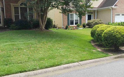 Photo of Leslie M.'s yard after getting lawn care in Jacksonville, FL