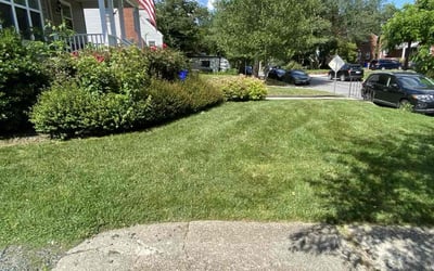Photo of Kevin L.'s yard after getting lawn care in College Park, MD