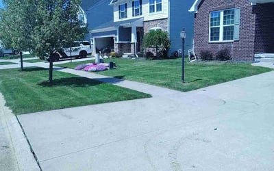 Photo of James K.'s yard after getting lawn care in Broadview Heights, OH