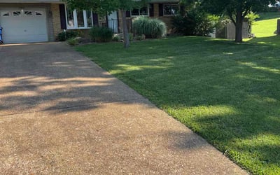 Photo of Wayne E.'s yard after getting lawn care in New Orleans, LA