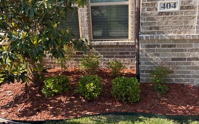Photo of Robert S.'s yard after getting lawn care in Portsmouth, VA