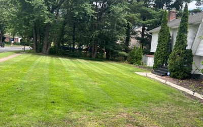 Photo of Erin C.'s yard after getting lawn care in Niles, OH
