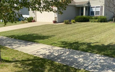 Photo of Renee P.'s yard after getting lawn care in Crown Point, IN