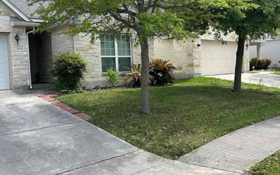 Photo of Gabrielle G.'s yard after getting lawn care in Floresville, TX