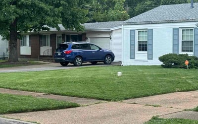 Photo of Elisabeth C.'s yard after getting lawn care in Jersey City, NJ