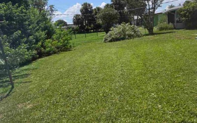 Photo of Chelsea C.'s yard after getting lawn care in Englewood, NJ