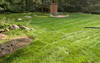 Photo of Denise A.'s yard after getting lawn care in Burlington, MA