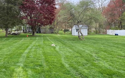 Photo of Melody D.'s yard after getting lawn care in Mansfield, MA