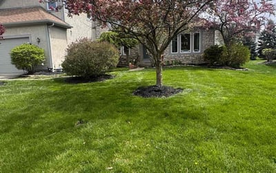 Photo of David T.'s yard after getting lawn care in Powell, OH