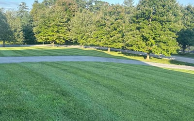 Photo of Myrna O.'s yard after getting lawn care in Lutherville Timonium, MD