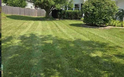 Photo of John S.'s yard after getting lawn care in Streamwood, IL