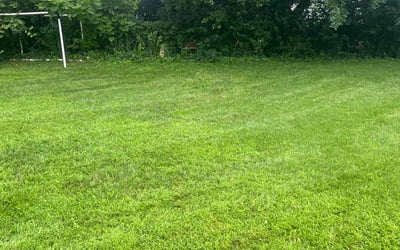 Photo of Kathy S.'s yard after getting lawn care in Bloomfield, CT