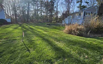 Photo of Amy C.'s yard after getting lawn care in Leominster, MA