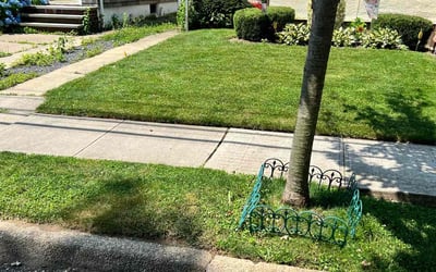 Photo of Robert G.'s yard after getting lawn care in Mineola, NY