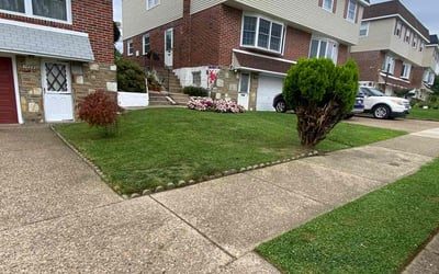 Photo of Lincoln A.'s yard after getting lawn care in Philadelphia, PA