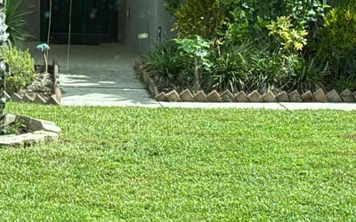 Photo of Rob F.'s yard after getting lawn care in Monroe Township, NJ