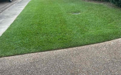 Photo of Lynn N.'s yard after getting lawn care in Schererville, IN