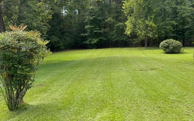 Photo of Adele M.'s yard after getting lawn care in Jasper, GA