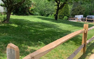 Photo of Danielle P.'s yard after getting lawn care in Clementon, NJ