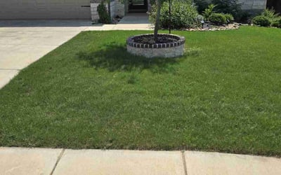 Photo of Norma F.'s yard after getting lawn care in Lytle, TX