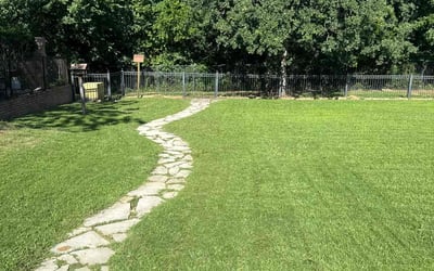 Photo of Kim V.'s yard after getting lawn care in Fort Worth, TX