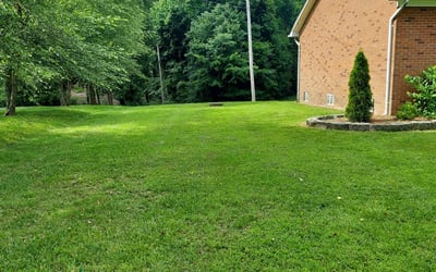 Photo of Nathaniel A.'s yard after getting lawn care in Concord, MA