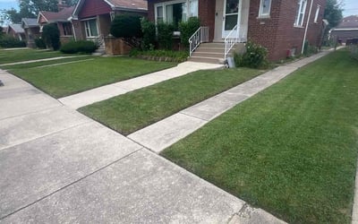 Photo of Dawna B.'s yard after getting lawn care in Chicago, IL