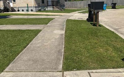 Photo of Arelia P.'s yard after getting lawn care in Chalmette, LA