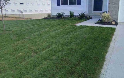 Photo of Hilary M.'s yard after getting lawn care in Lancaster, OH