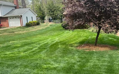 Photo of Kelly M.'s yard after getting lawn care in Cary, NC