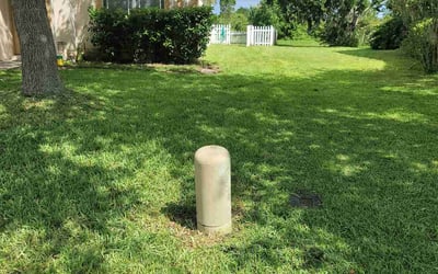 Photo of Gloria W.'s yard after getting lawn care in Locust Grove, GA