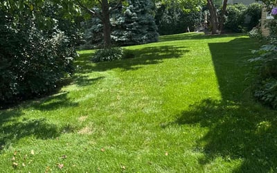 Photo of Cleave J.'s yard after getting lawn care in Smyrna, TN