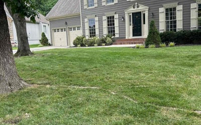Photo of Debora J.'s yard after getting lawn care in Leawood, KS