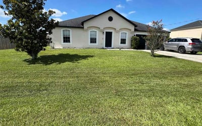 Photo of Brandie H.'s yard after getting lawn care in Smithfield, NC