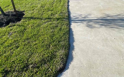 Photo of Brett H.'s yard after getting lawn care in Mission, TX