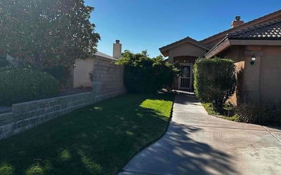 Photo of Zaida B.'s yard after getting lawn care in Big Bear Lake, CA