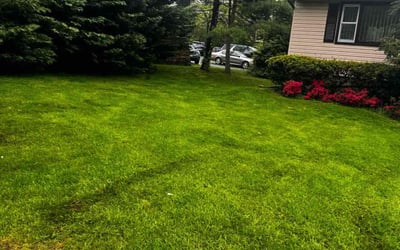 Photo of Tom B.'s yard after getting lawn care in Chatham, NJ