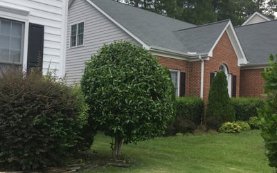 Photo of Lyla S.'s yard after getting lawn care in Zebulon, NC