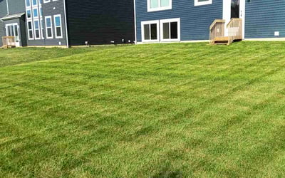 Photo of Ben M.'s yard after getting lawn care in Lewis Center, OH