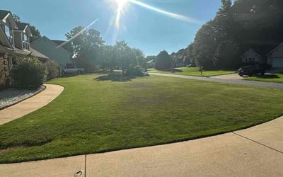 Photo of Ernie A.'s yard after getting lawn care in Glenolden, PA