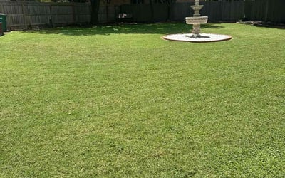 Photo of Justinray G.'s yard after getting lawn care in San Antonio, TX