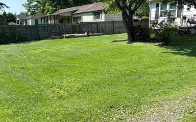 Photo of Rosenda R.'s yard after getting lawn care in Powell, TN
