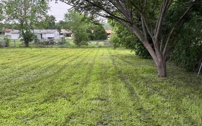 Photo of Larissa S.'s yard after getting lawn care in South Hadley, MA