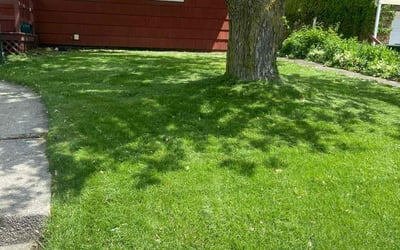 Photo of Pam B.'s yard after getting lawn care in Mchenry, IL