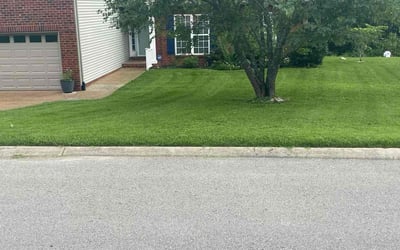 Photo of Lori H.'s yard after getting lawn care in Portland, TN